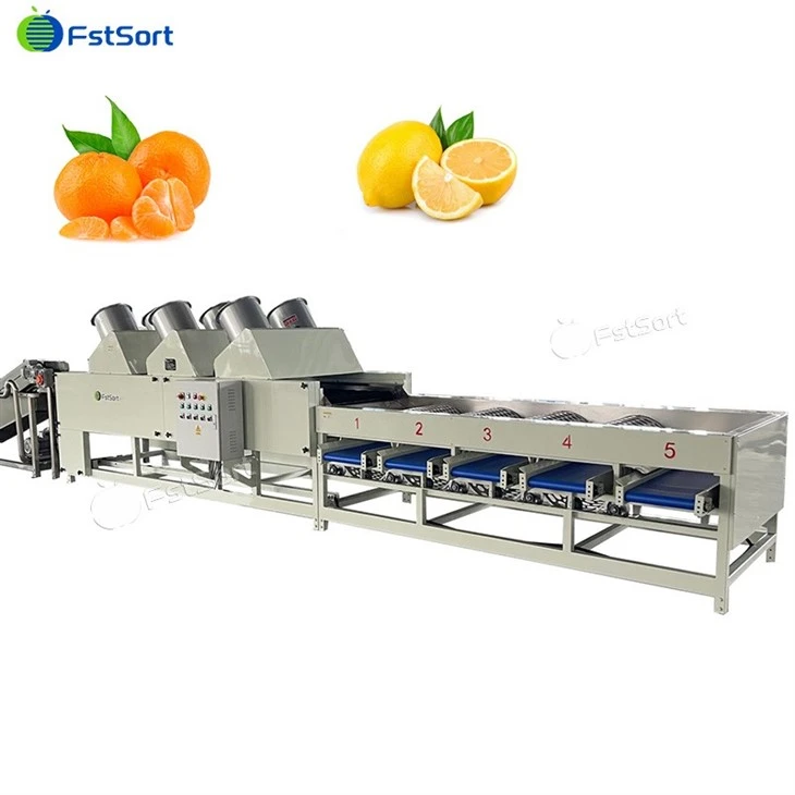 Automatic Citrus Drum Sorting Machine price